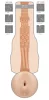 Fleshlight Eva Lovia Spice - popsi maszturbátor