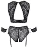 / Cottelli Bondage Plus Size - csipke melltartó szett (fekete)
