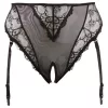/ Cottelli Plus Size - csipke harisnyatartós bugyi (fekete)