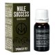 MALE SUCCESS MOOD MAKER - 10 ML