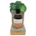 / Coconutoil - bio Bronzolaj (80 ml)