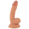 Mr. Rude - tapadókorongos, herés élethű dildó - 18cm (natúr)