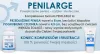 Penilarge Intim gél Vérkeringés fokozó 50 ml