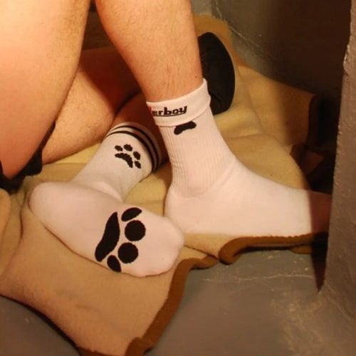 Socks Puppy Sk8terboy - stílusos kutyás zokni fiatalos dizájnnal