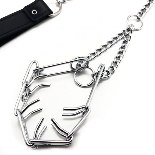 Póráz péniszhez - prémium nyakörv kiegészítővel