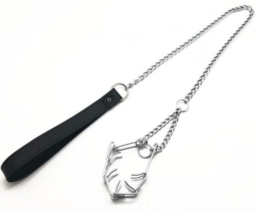 Póráz péniszhez - prémium nyakörv kiegészítővel