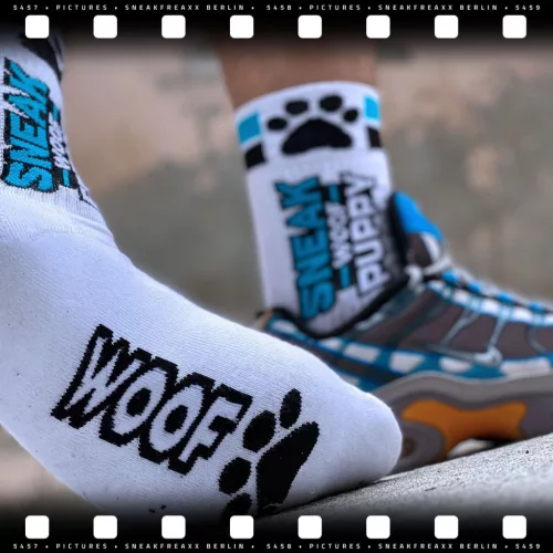 Sneak Woof – kék kutyás zoknik