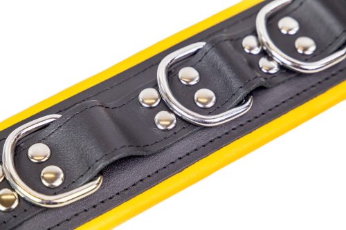 Bőr nyakörv - párnázott - 3 D gyűrű - Fekete/sárga
