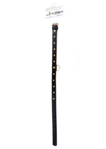 Fetish B nyakörv szabályozható, arany kristály dísz 2 cm széles 36-42 cm hosszú