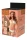 Girl Next Door Lisa film DVD