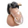 Rickers Chastity Cage – átlátszó intimméret 9 x 3 cm