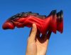 Dildo Dragon Zomay 18 x 6cm fekete-piros