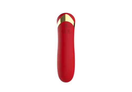 Vibrátor 10 mód, vízálló, USB töltés 10 cm piros
