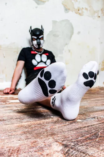 Fehér Kiskutya Sk8erboy Zokni - Stílusos és kényelmes!