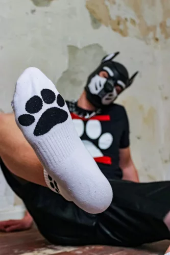 Fehér Kiskutya Sk8erboy Zokni - Stílusos és kényelmes!
