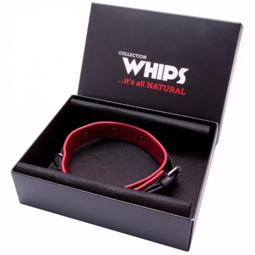 Whips Közepes női nyakörv bőrből állítható 36-42 cm fekete