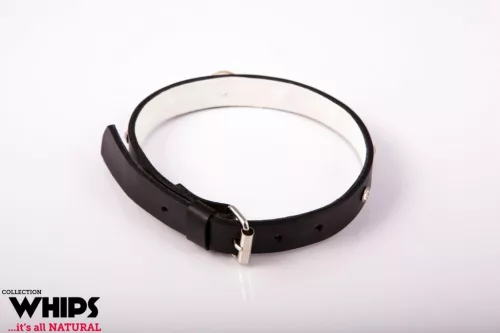 Whips nyakörv bőr, állítható 36-42 cm fehér 2 cm széles