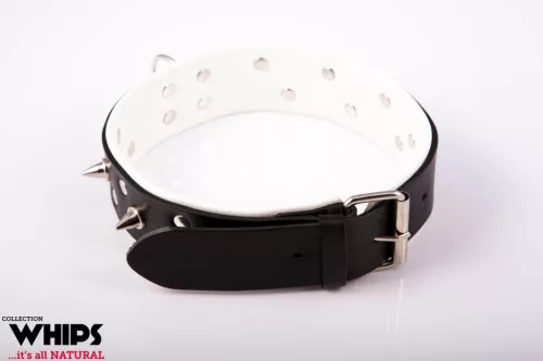 Kötöző Bőr nyakörv szegecsekkel, állítható méret fehér 4,5 cm széles lánccal 100 cm