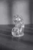ManCage Model 29 – átlátszó férfi pajzis kalitka 9,5 x 3,2 cm