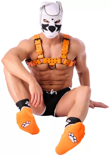 Paw Kinky Puppy – érzéki narancssárga zokni