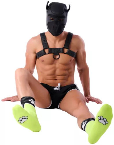 Paw Kinky Puppy – élénk sárga fluo zokni kényeztetéshez