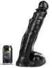Bjork Dark Crystal – prémium üveg dildó 38 cm hosszú