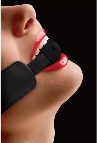 Brace Ball Gag