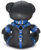 Leather Bear EDDY – BDSM teddy bear kék díszboxban
