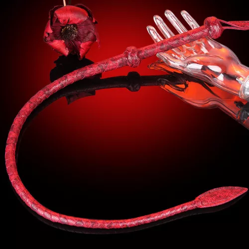 Scorpionea Whisk – 86 cm-es prémium testesítő eszköz