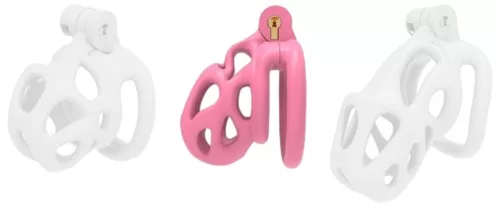 Bishera Rose Cage méret M 6,5x3,2 cm