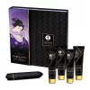 SHUNGA - érzéki geisha készlet prémium élvezetekhez