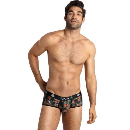 ANAIS MEN - POWER BRIEF L