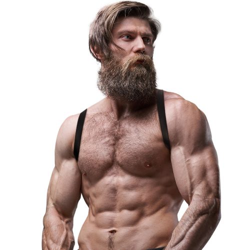 FETISH – férfi ökológiai bőr hátkötöző harness