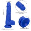 CALEXOTICS Admiral Sailor – élethű kék vibráló dildo