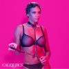 CALEXOTICS - EUPHORIA LÁNCOS NYAKÖRV ÉS PÓRÁZ