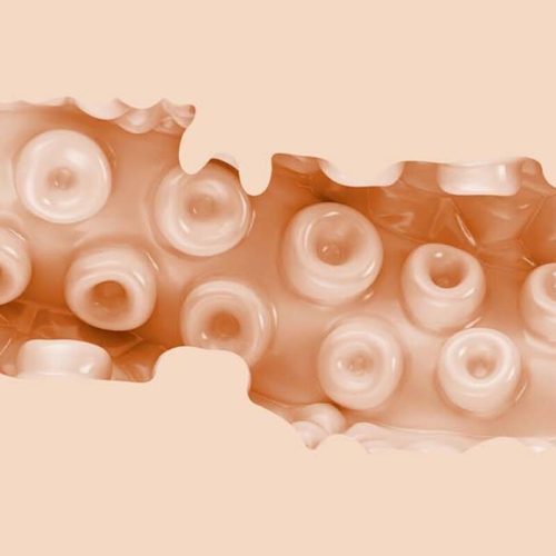 Sasha Nakamoto – érzéki anál vibrátor álomélményhez