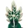 Condomerie kannabisz 2. modell kézzel festett díszóvszer