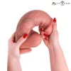 MR INTENSE - extra nagy szilikon dildó 28 cm - érzéki élmény