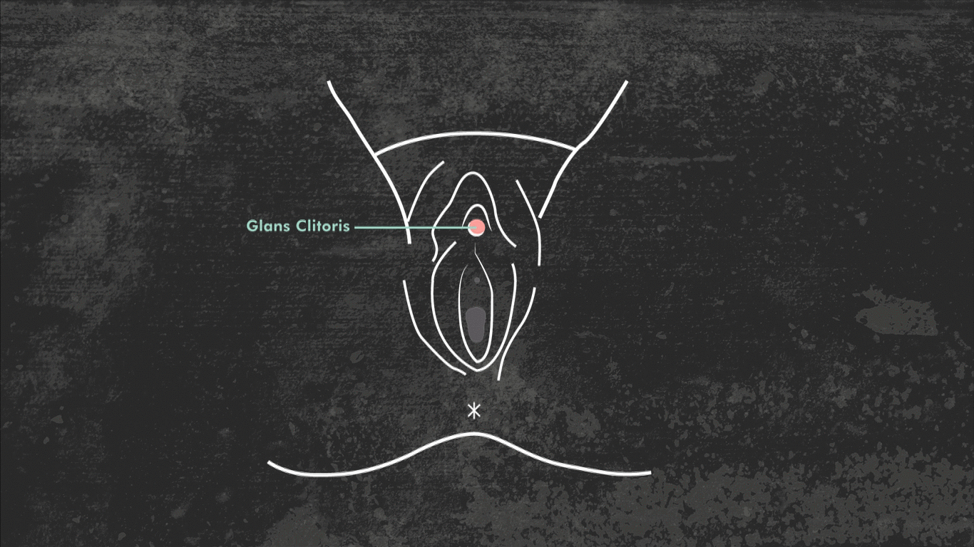 8 dolog, amit talán még nem tudsz a klitoriszról, pedig kellene!