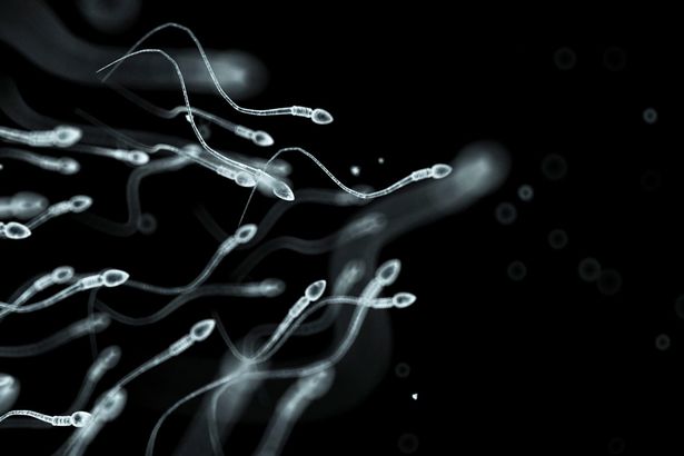 Sperma növelés: 5 egyszerű tipp amit már ma elkezdhetsz!