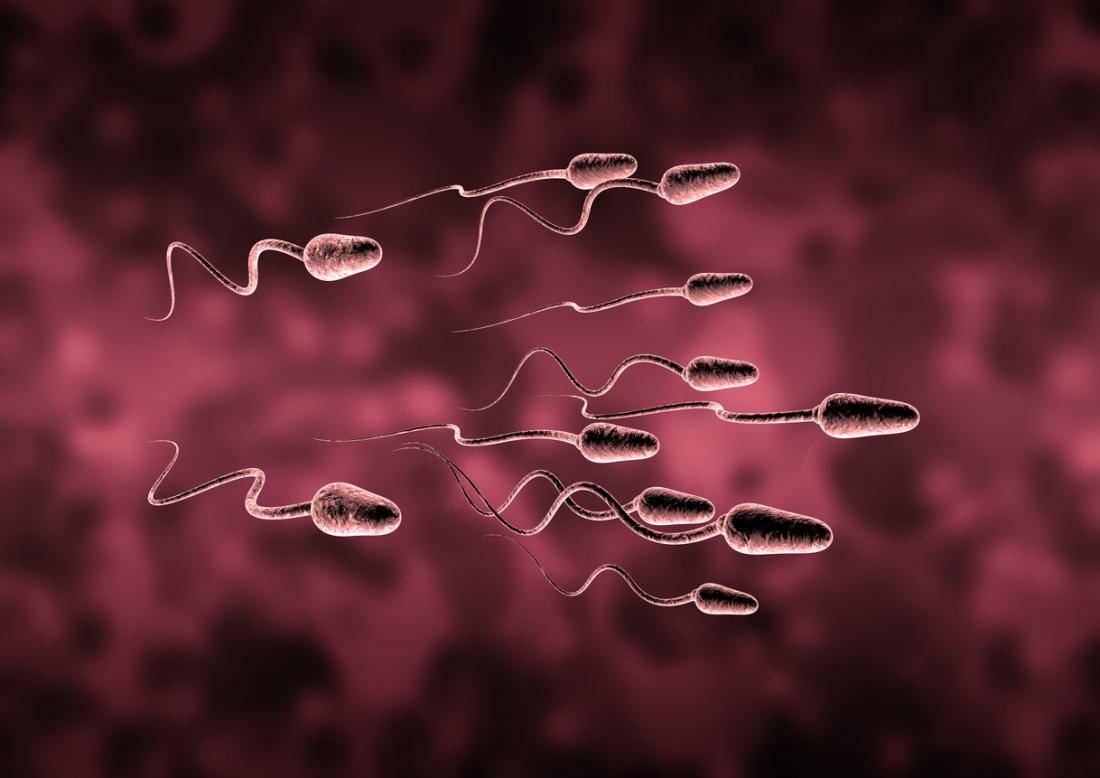 A spermiumszám növelése, avagy hogyan lehet több spermám?